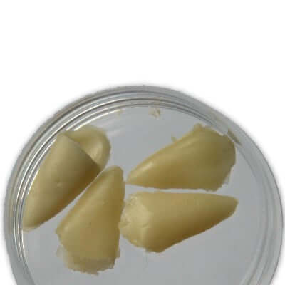 Gelatin vampire canines