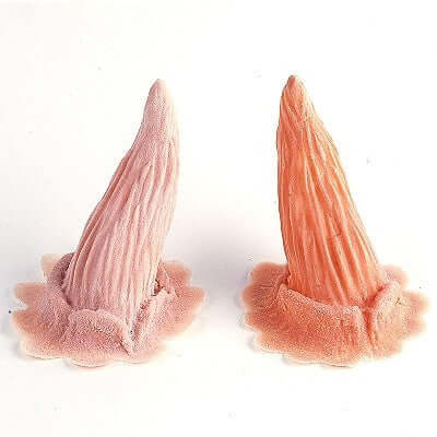 Bark horns latex application for sticking