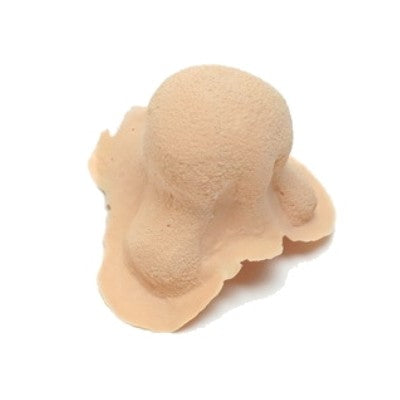 Latex application knob nose