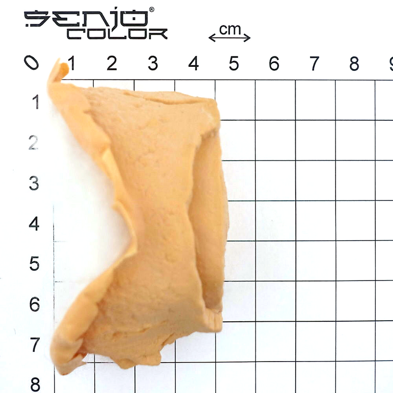 Tree stump nose latex application dimension 2