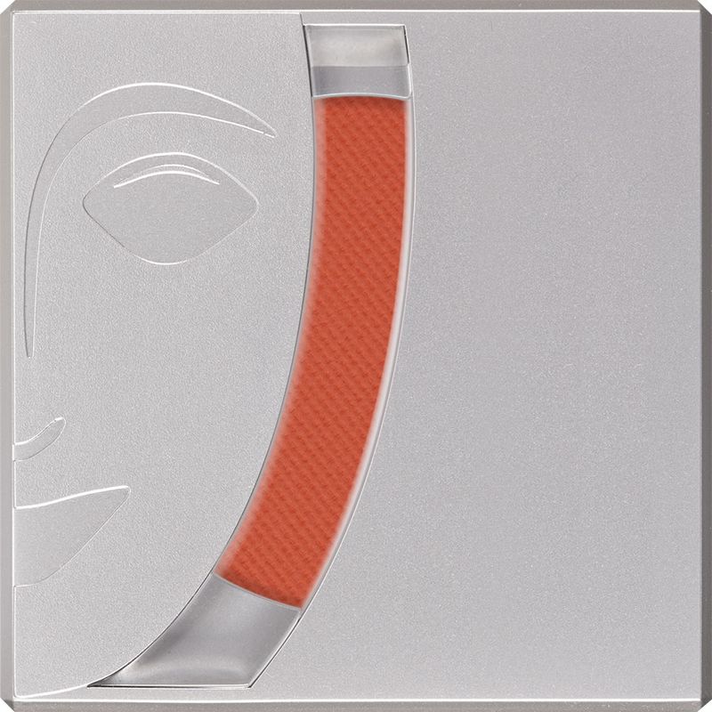 Blusher Trockenrouge T 1