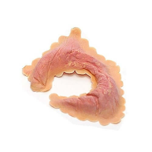 Boxer eye latex application Senjo Color