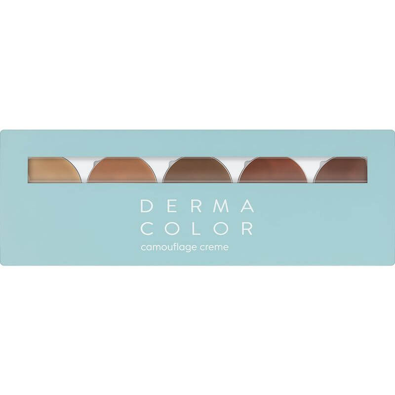 Kryolan Dermacolor Camouflage Make up Quintet DQ6