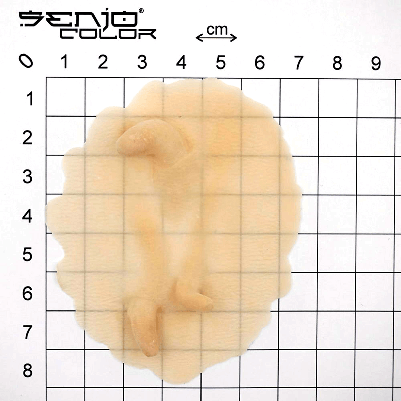 Latex application skin worm dimensions