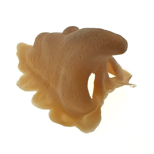 Witch nose latex application