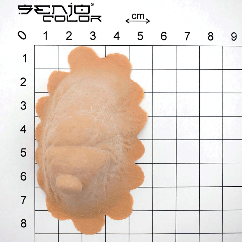 Witches chin I latex application dimensions