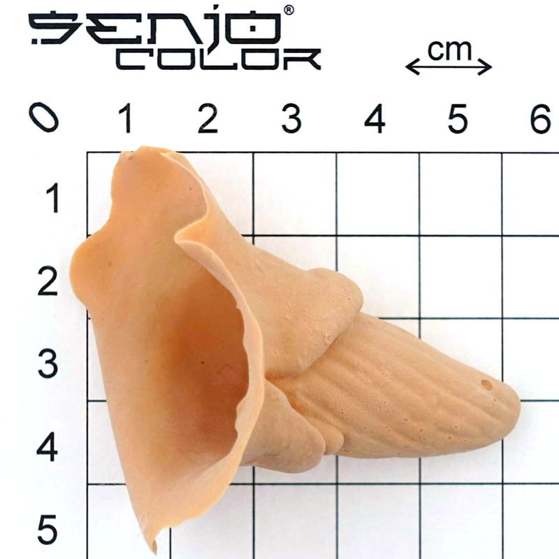 Youth croissant size overview 2