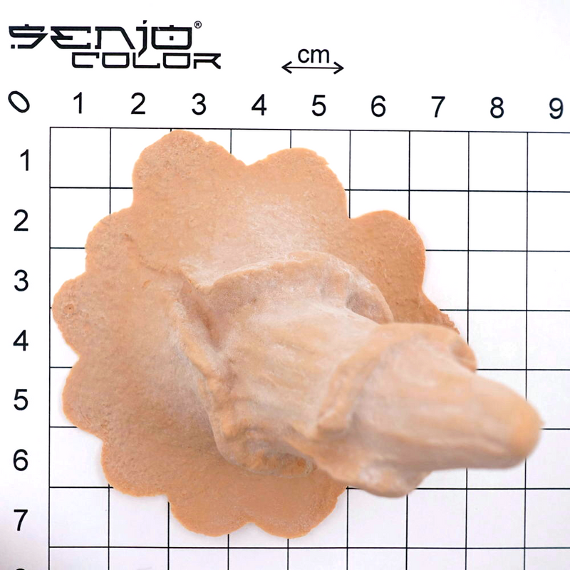 Cliffs horns latex application dimensions