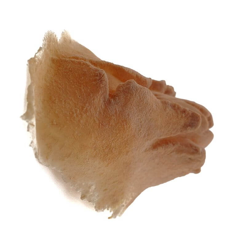 Zombie chin 2 latex