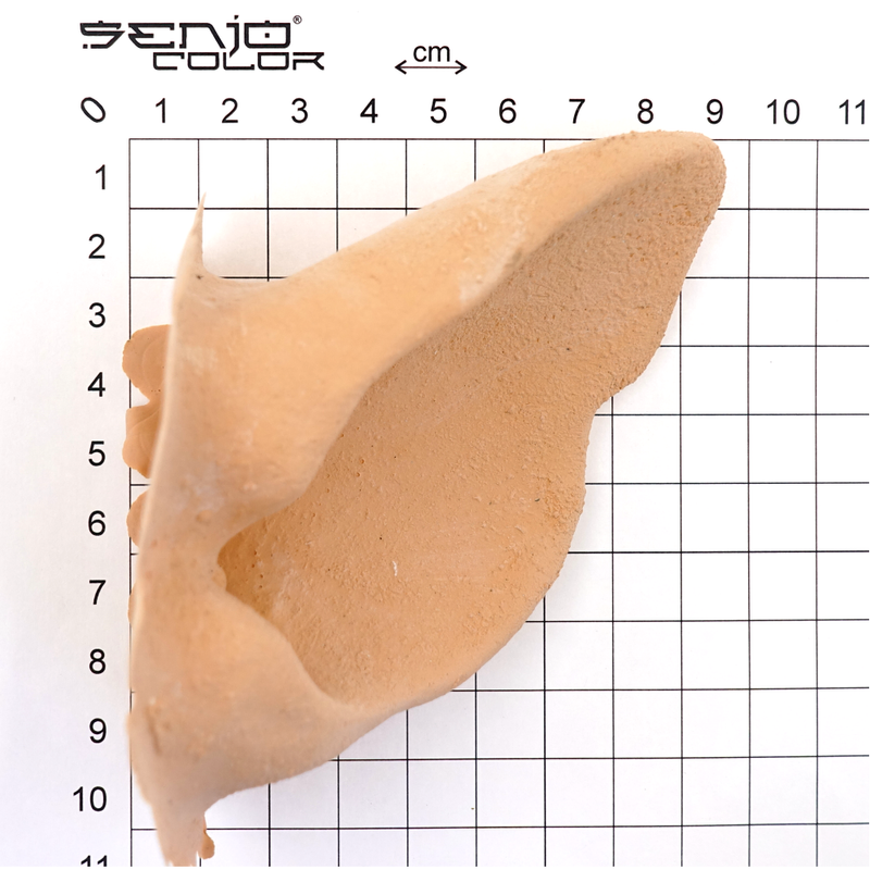 Lion ear size chart 2