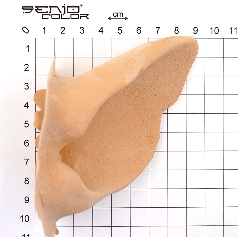 Lion ear size chart 2