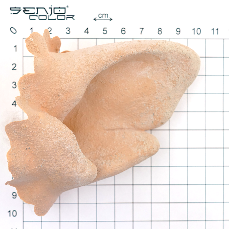 Lions ears 2 latex applique size view 2