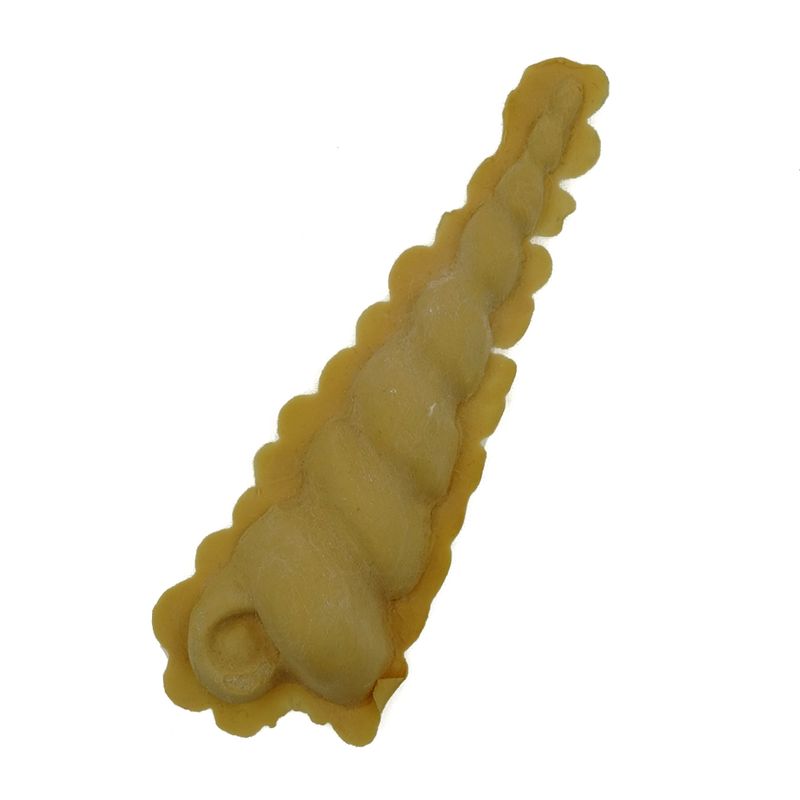 Shell 4 tortilla twisted latex