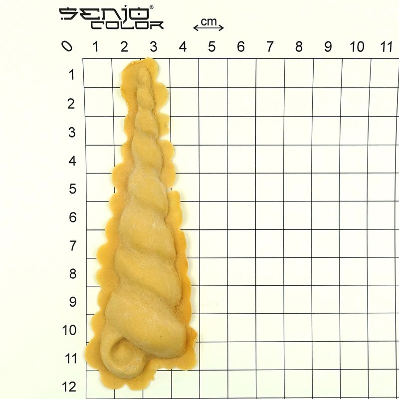 Shell 4 tortilla twisted latex application dimensions
