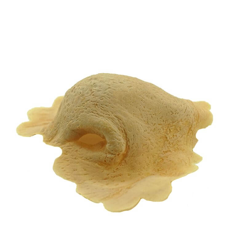 Orc nose latex application on the side