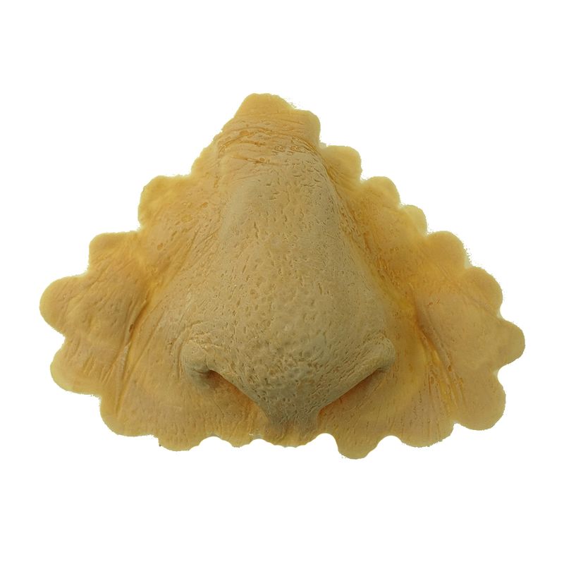 Orc nose latex application