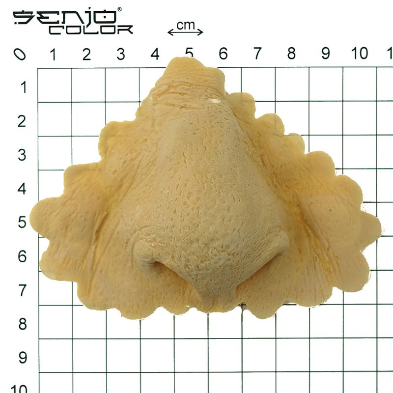 Orc nose latex application size