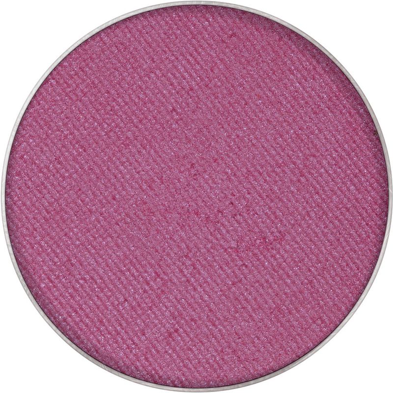 Palette Refill Eye Shadow Compact Iridescent - PV G