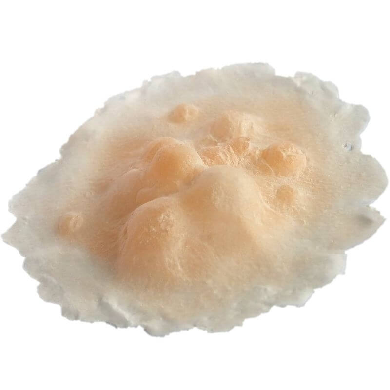 Plague bumps latex application