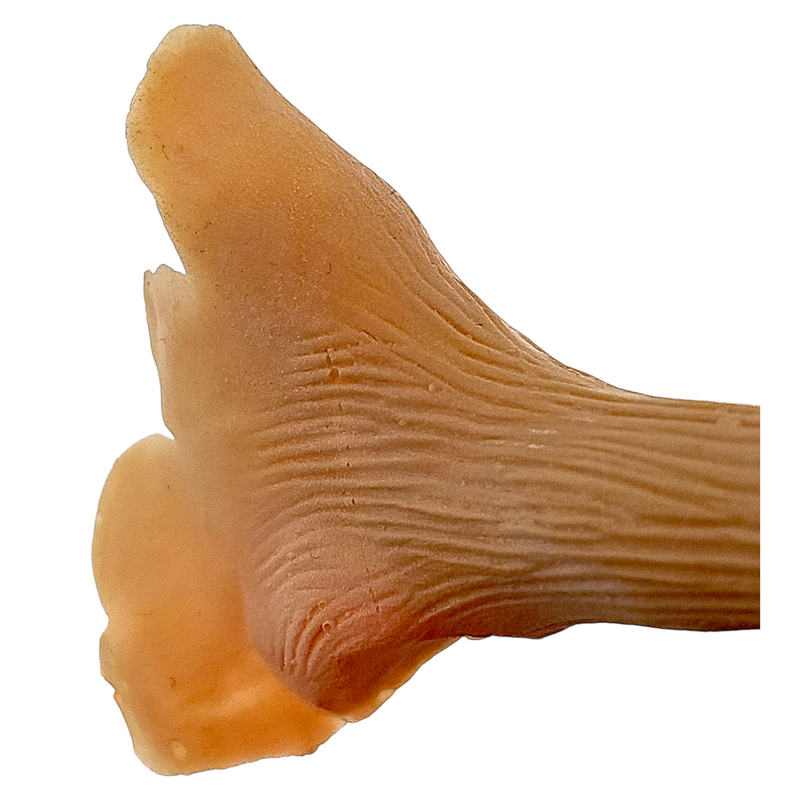 Pinocchio Nase Latex Applikation 1
