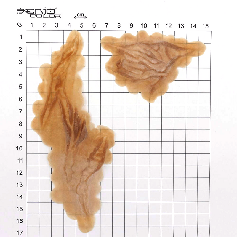 Latex application crack wound dimensions