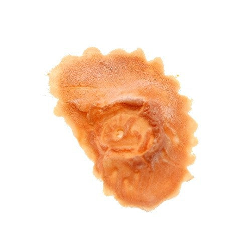 Latex application robot eye