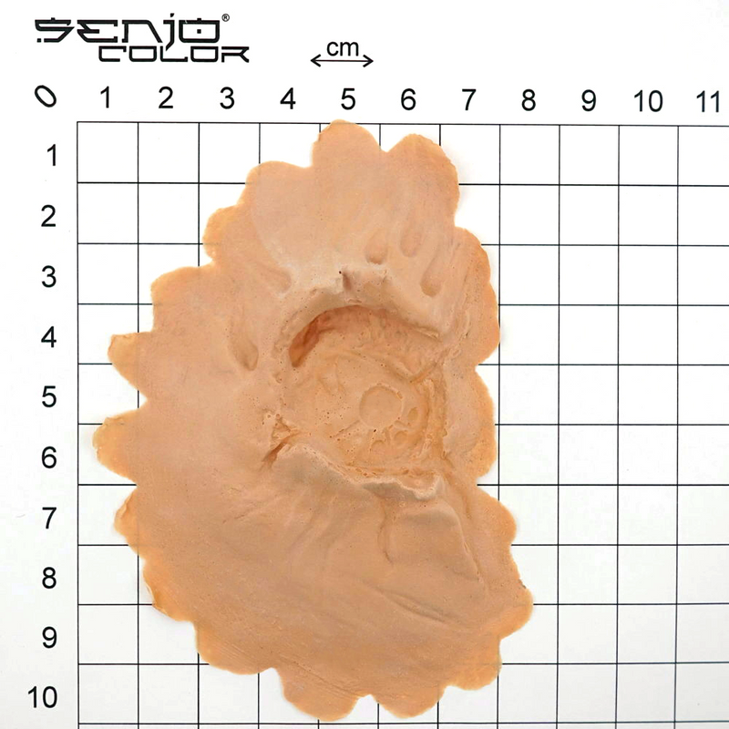 Latex application robot eye dimensions