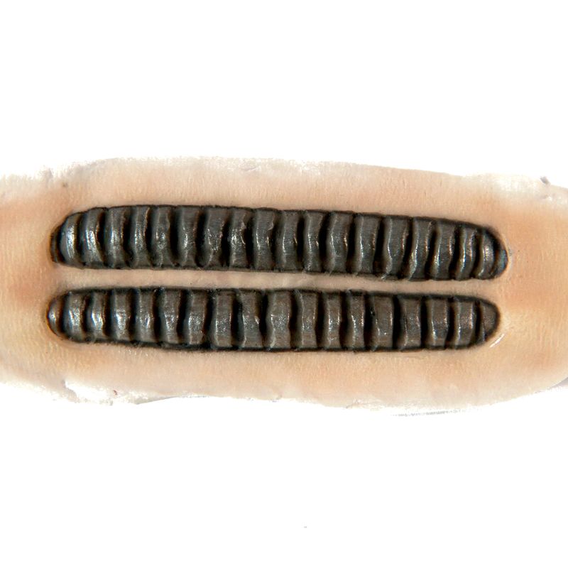 Tube implant application example painted