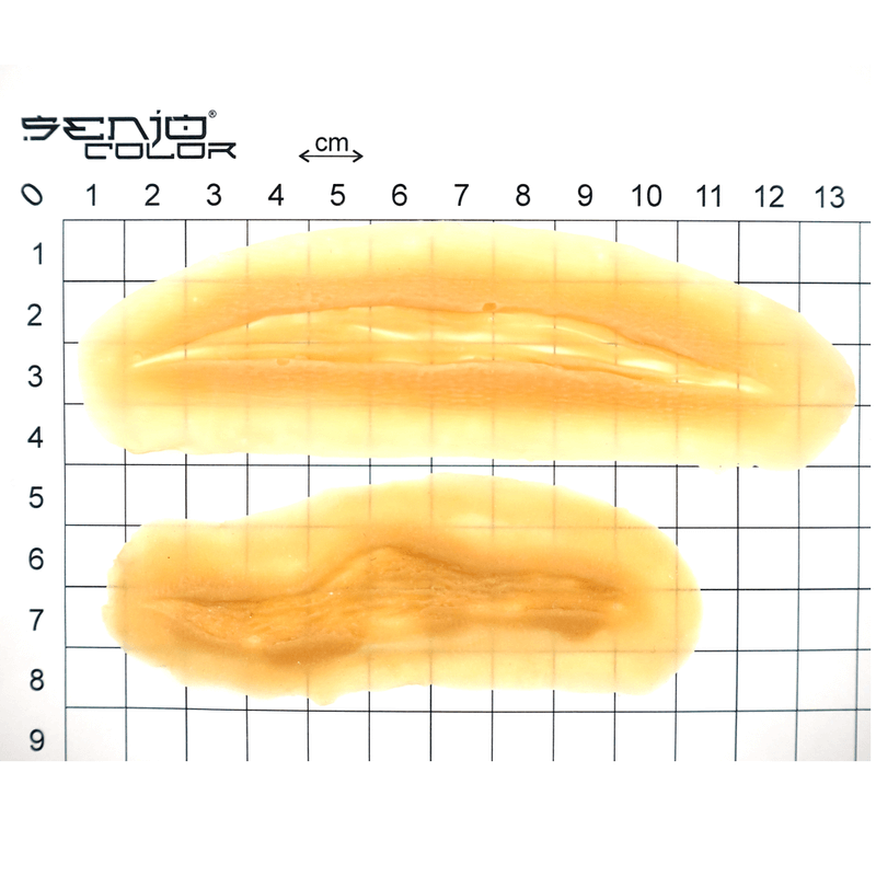 Cut wounds 2-piece latex application Dimensions