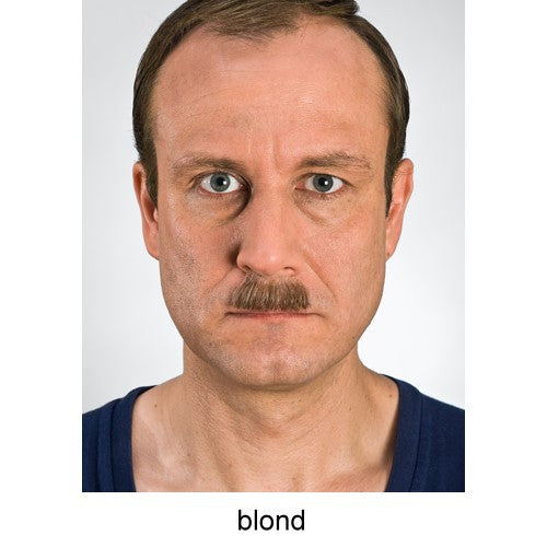 Chaplin mustache No.1 blonde