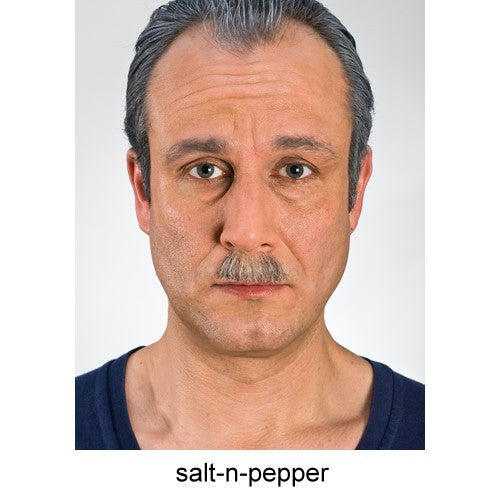 Chaplin mustache No.1 gray mottled