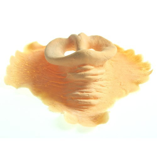 Pig Nose Large Top View