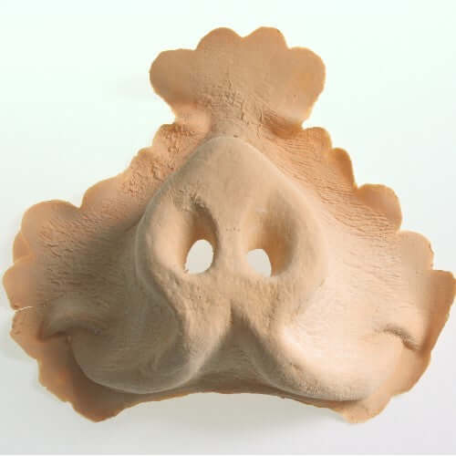 Latex application pig nose small