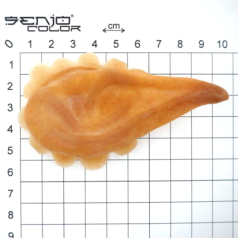 Pointed Ears Small Closed Size Overview