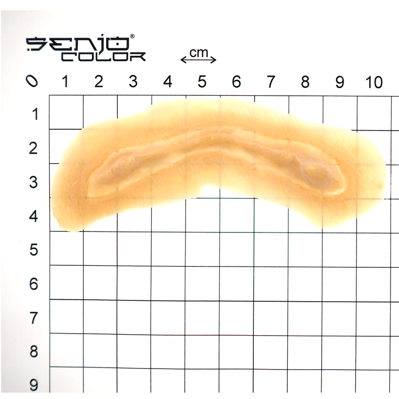 Bone growth latex application dimensions