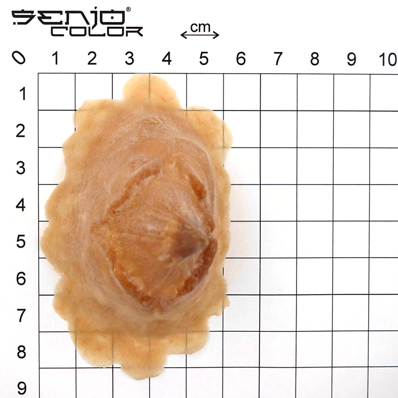 Devil chin latex application dimensions