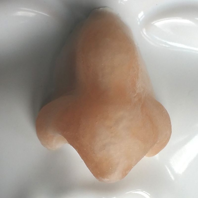Devil nose latex application front view
