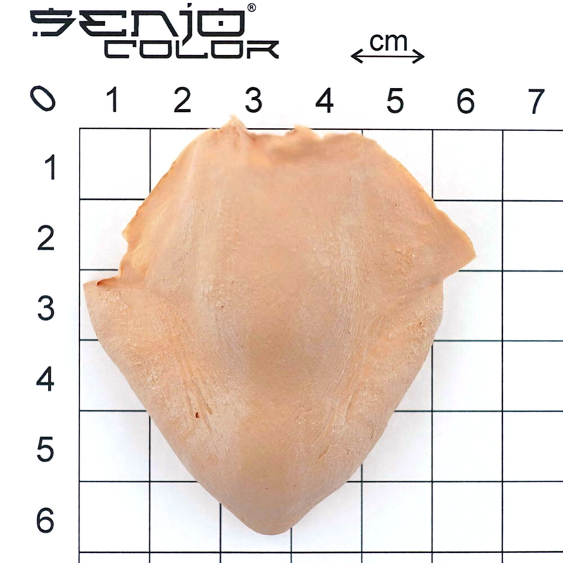 Devil nose latex application dimensions
