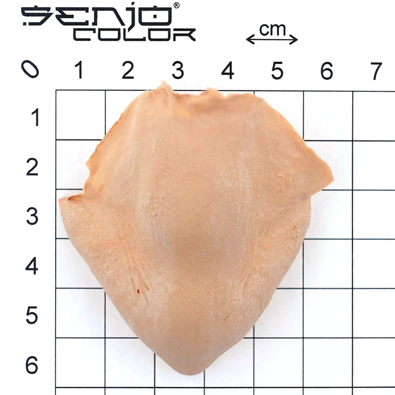 Devil nose latex application dimensions