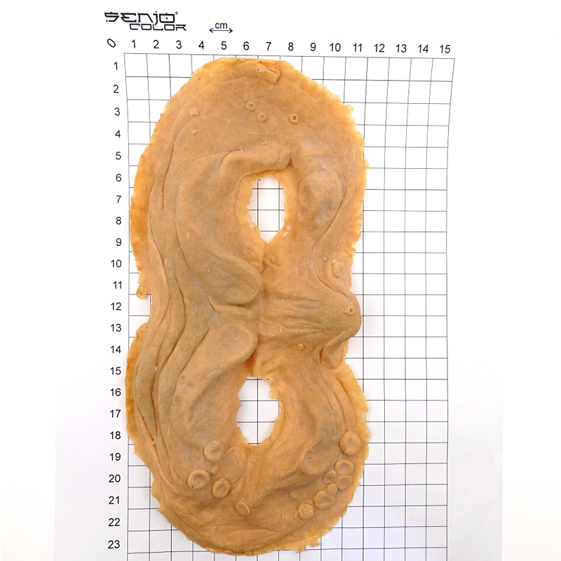 Zombie Face Size Chart Latex Application