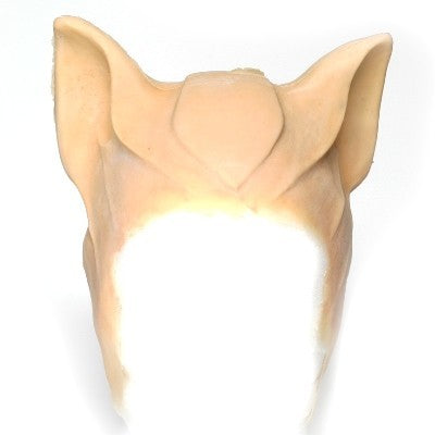 Cats hood latex application