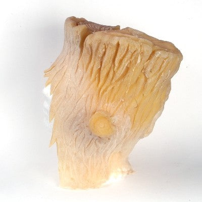 Tree stump Head Piece latex side view