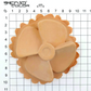 Chest part propeller latex application dimensions