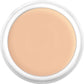 Kryolan Dermacolor Camouflage Cream 30g Dose - D2W