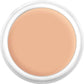 Kryolan Dermacolor Camouflage Cream 30g Dose - DNB2
