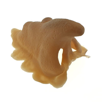 Witch nose latex application