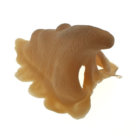Witch nose latex application