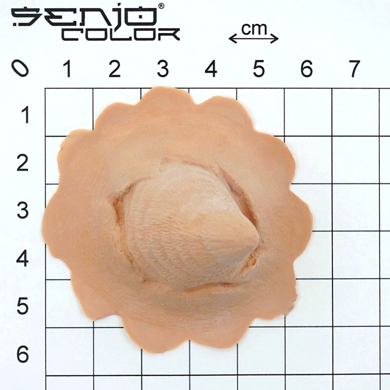 Squirrel latex application dimensions