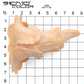 Cliffs horns latex application dimensions 2