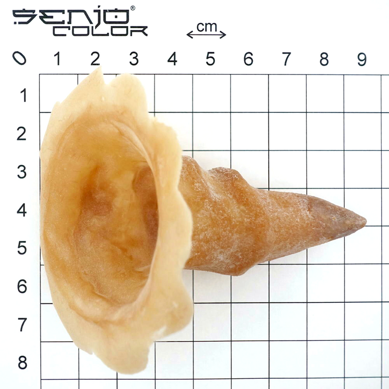 Plasticine horns latex application dimensions
